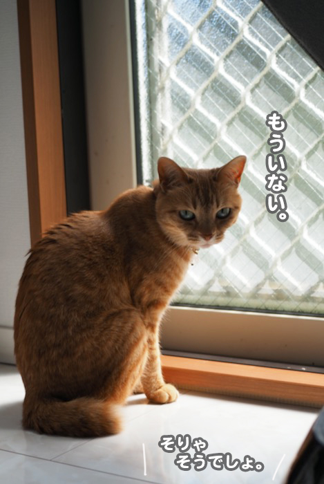 4日夕ブログ１２