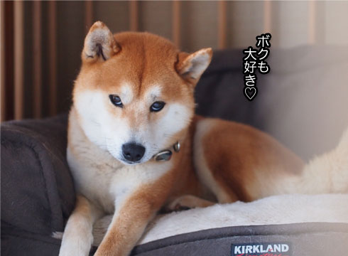 30日ブログ10.jpg