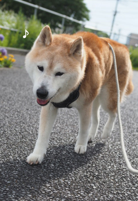 15日夕ブログ３