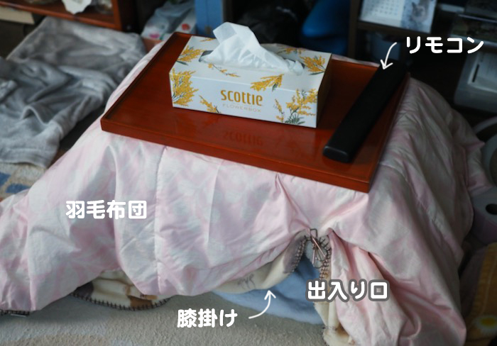 16日夕ブログ５