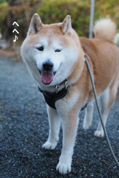 23日夕ブログ３