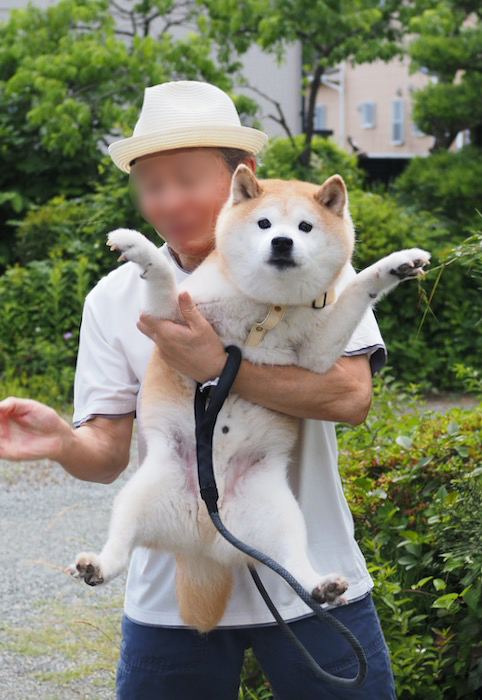 13日夕ブログ７