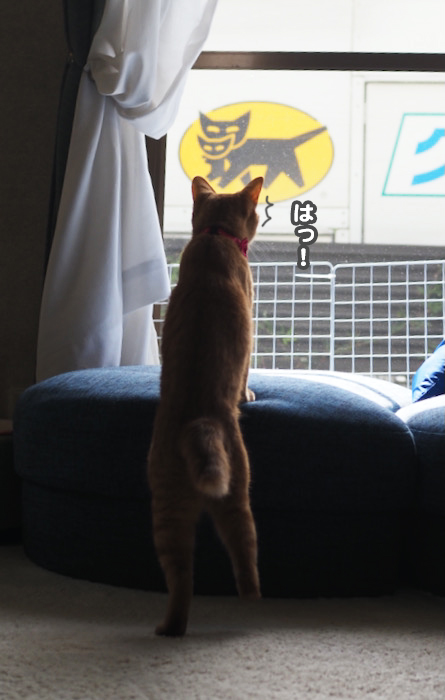 16日ブログ１
