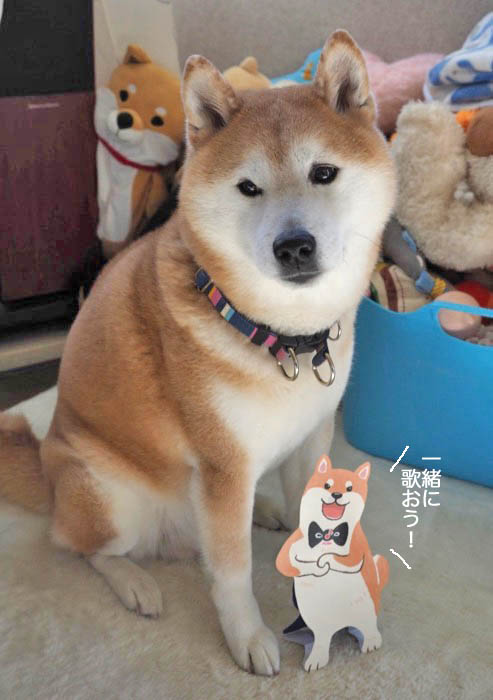 10日夜ブログ３
