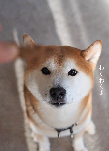 30日昼ブログ5