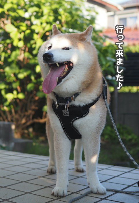 18日ブログ5