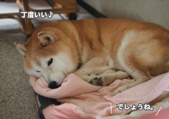 9日ブログ３