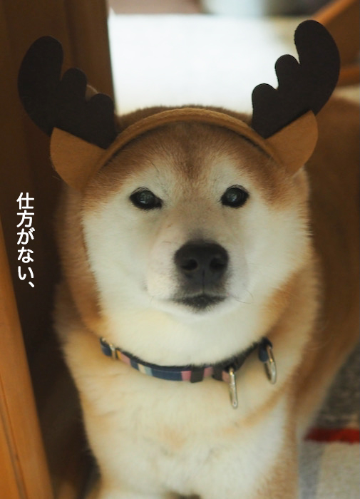 30日ブログ１