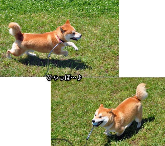 6日ブログ１２.jpg