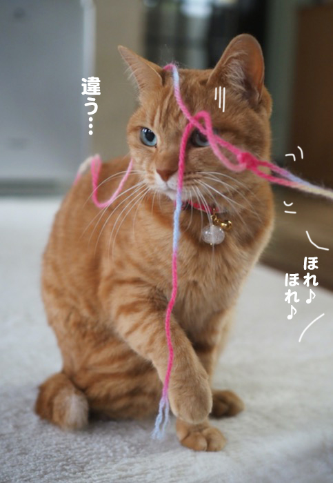 18日ブログ２