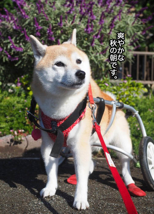 1日夜ブログ２