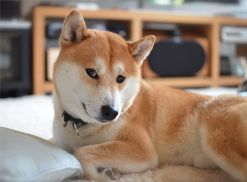 3日ブログ5.jpg