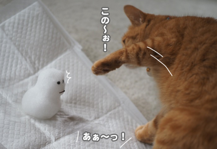 6日夕ブログ８