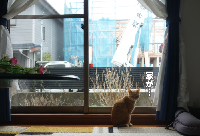6日夕ブログ６