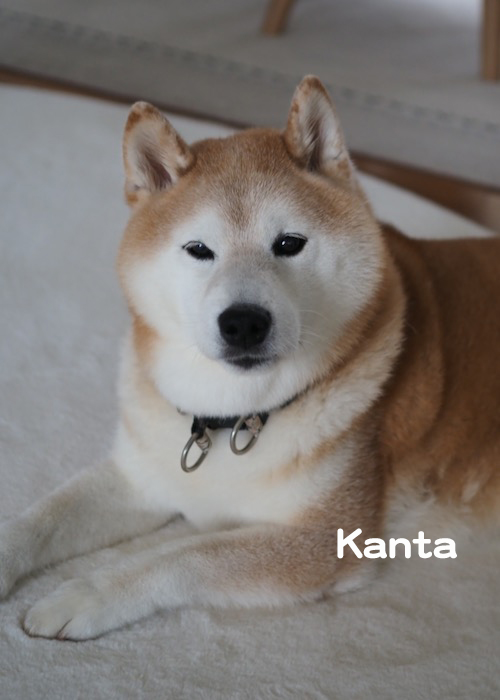 26日ブログ２