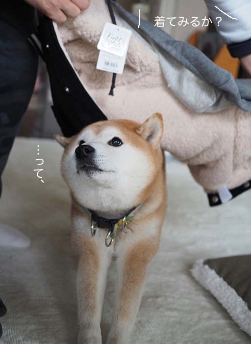 31日午後ブログ6