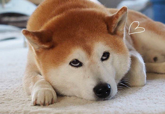 24日夜ブログ３