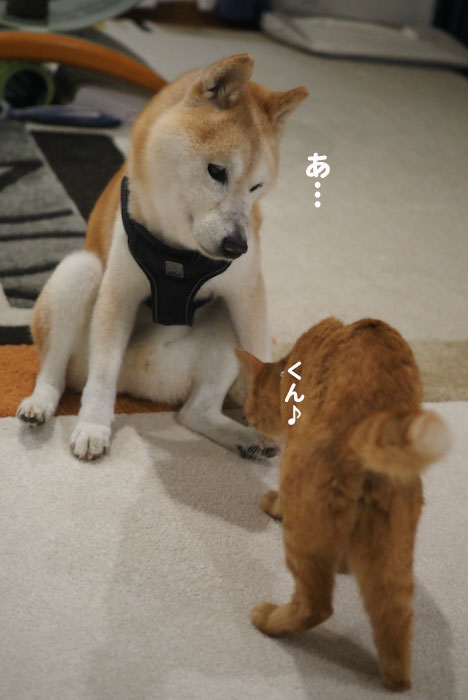 11日ブログ１