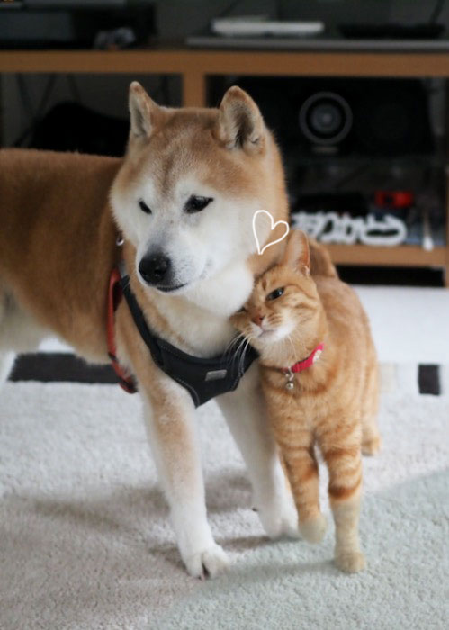 16日ブログ２