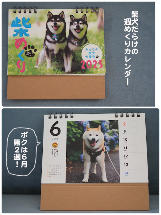 18日夕ブログ８