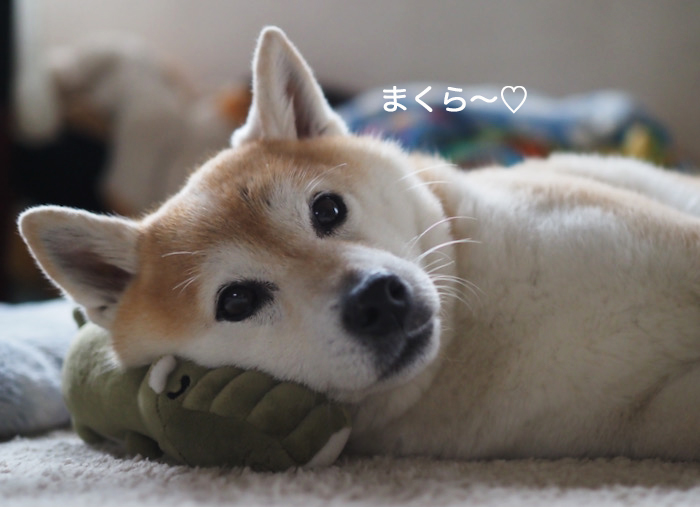22日夜ブログ５