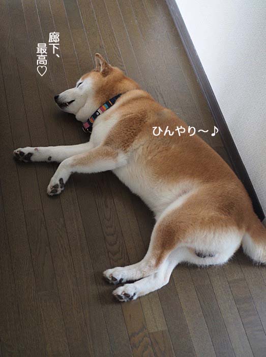 3日午前ブログ１