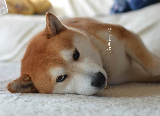 28日ブログ5.jpg