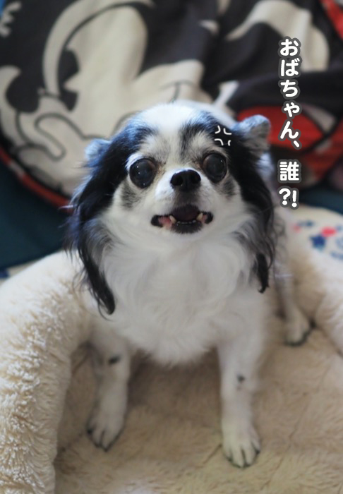 28日夜ブログ7