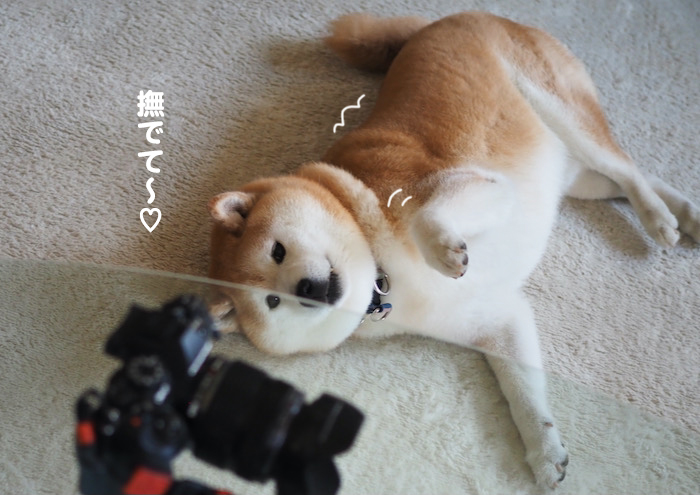 7日ブログ２