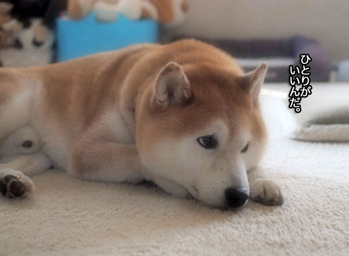 4日ブログ２