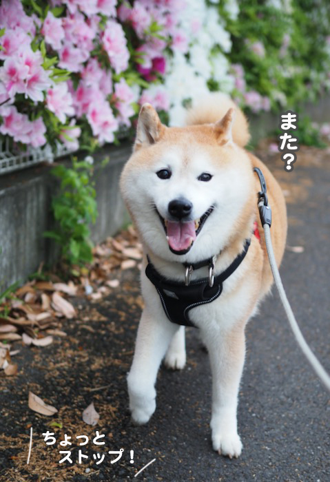 2日ブログ２