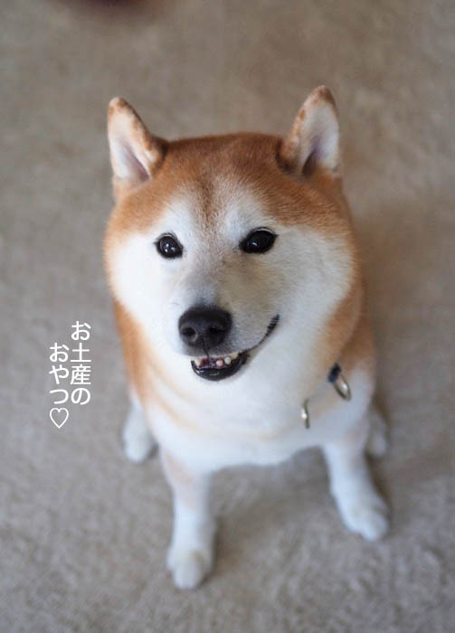 27日午後ブログ２