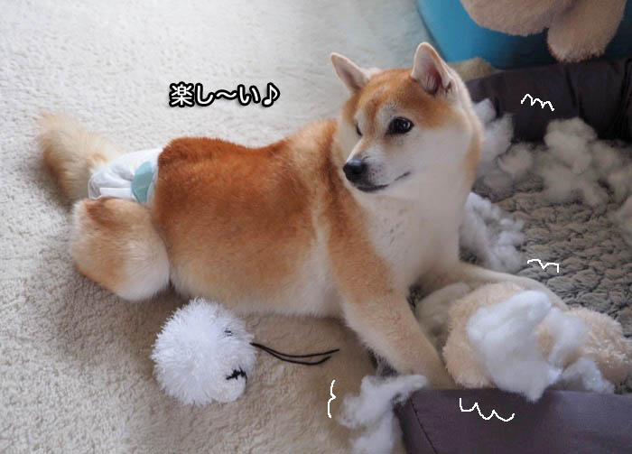 12日夜ブログ3