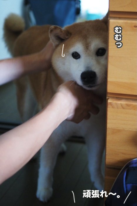 6日夕ブログ７