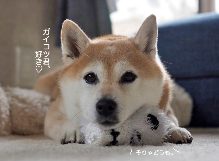 12日ブログ３