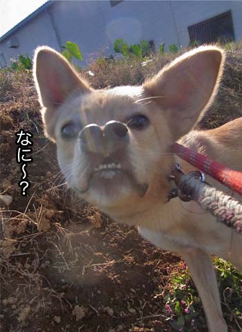 26日ブログ5.jpg