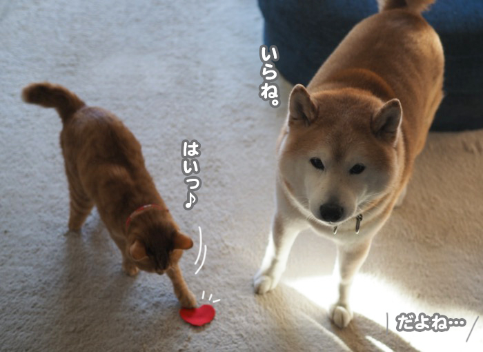 14日夕ブログ３