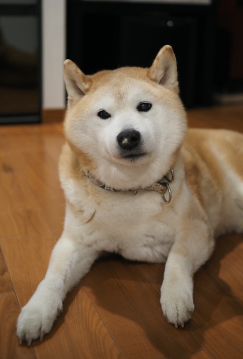 28日ブログ２