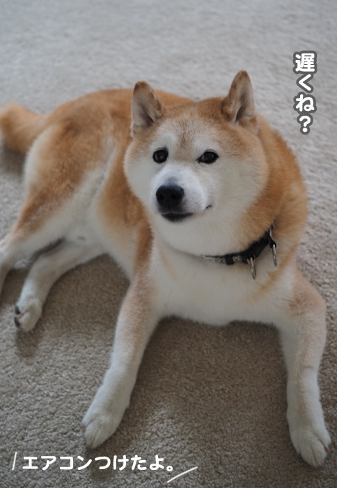 20日夕ブログ３