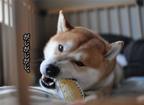 22日ブログ９.jpg