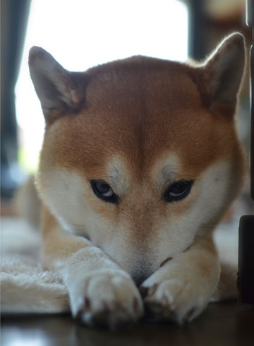 28日ブログ6.jpg
