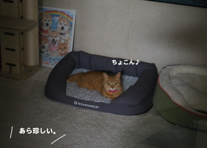 27日夕ブログ２