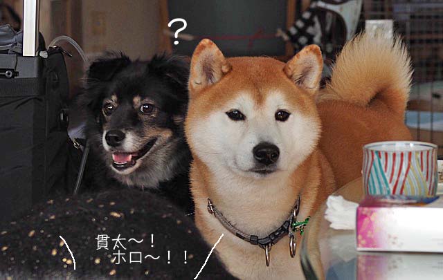 27日ブログ5