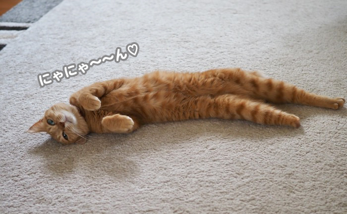 16日夕ブログ９