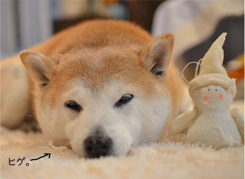 5日ブログ9.jpg