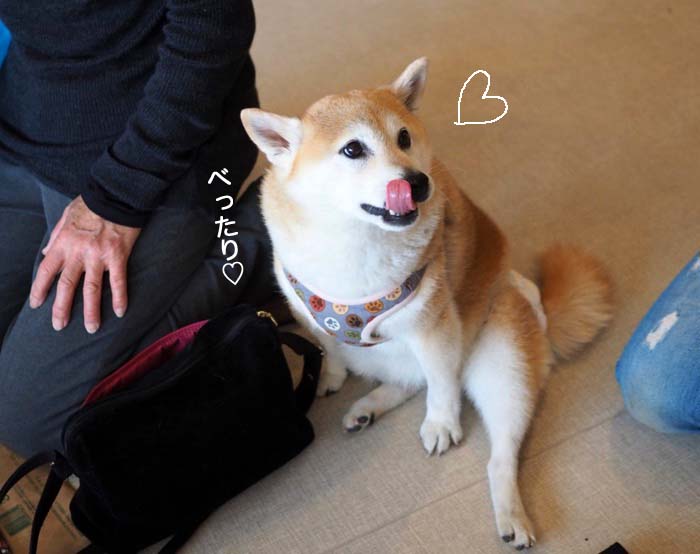 6日ブログ７
