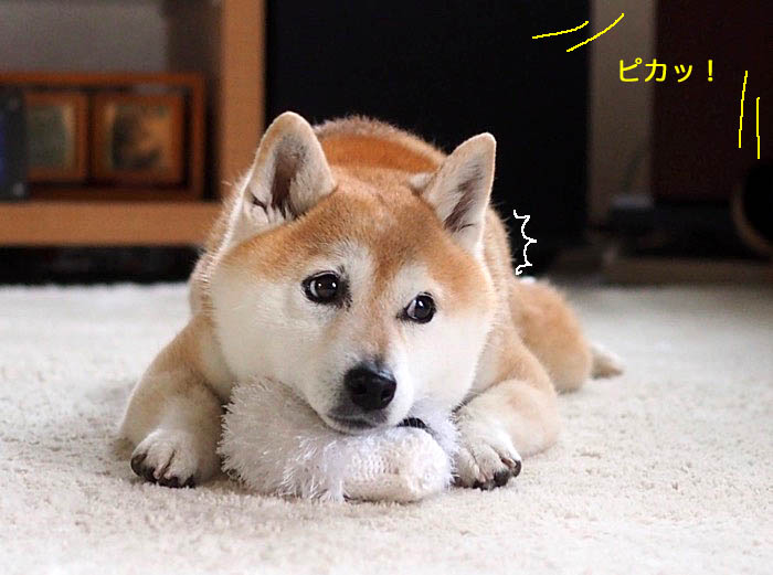 13日午後ブログ５
