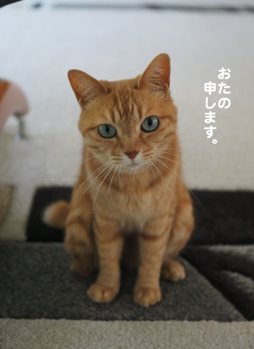 18日ブログ３