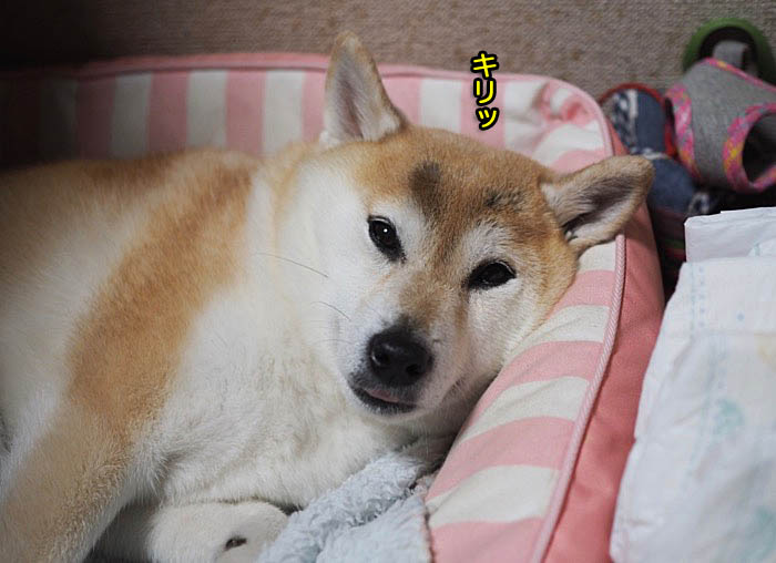1日ブログ１