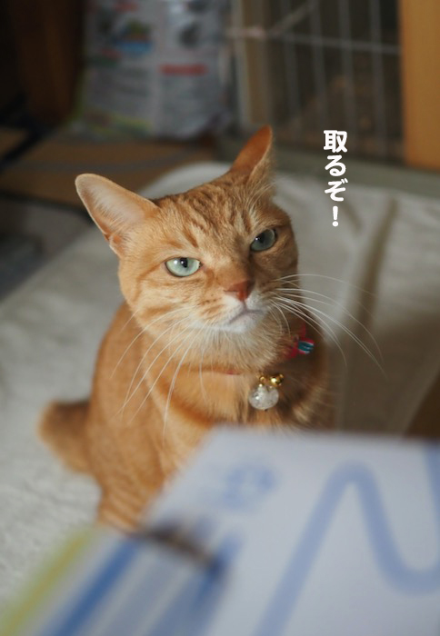 1日夜ブログ４